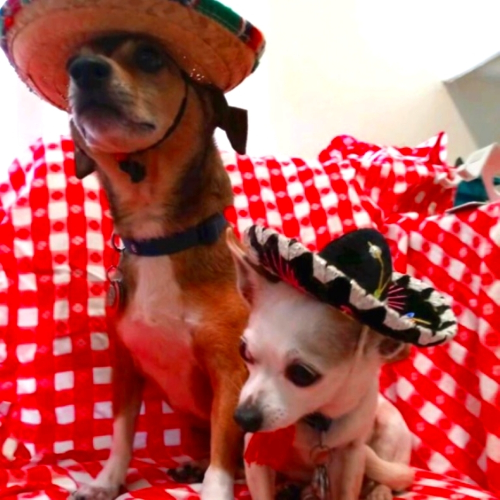 WELCOME TO MY CLOSET❤️